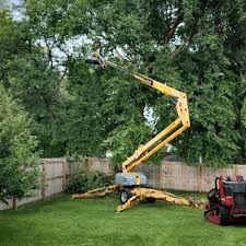 How Our Tree Care Process Works  in  East Shoreham, NY